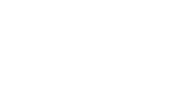 aplikacja internetowa dla dealerów samochodowych, platforma do zarządzania siecią salonów, projektowanie stron dla dealerów samochodowych, salony samochodowe integracja z otomoto